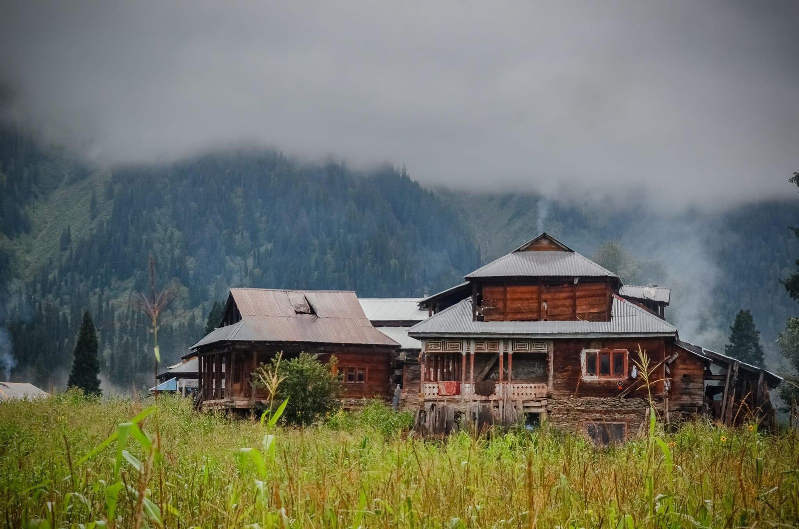 Kashmir-Arang kel