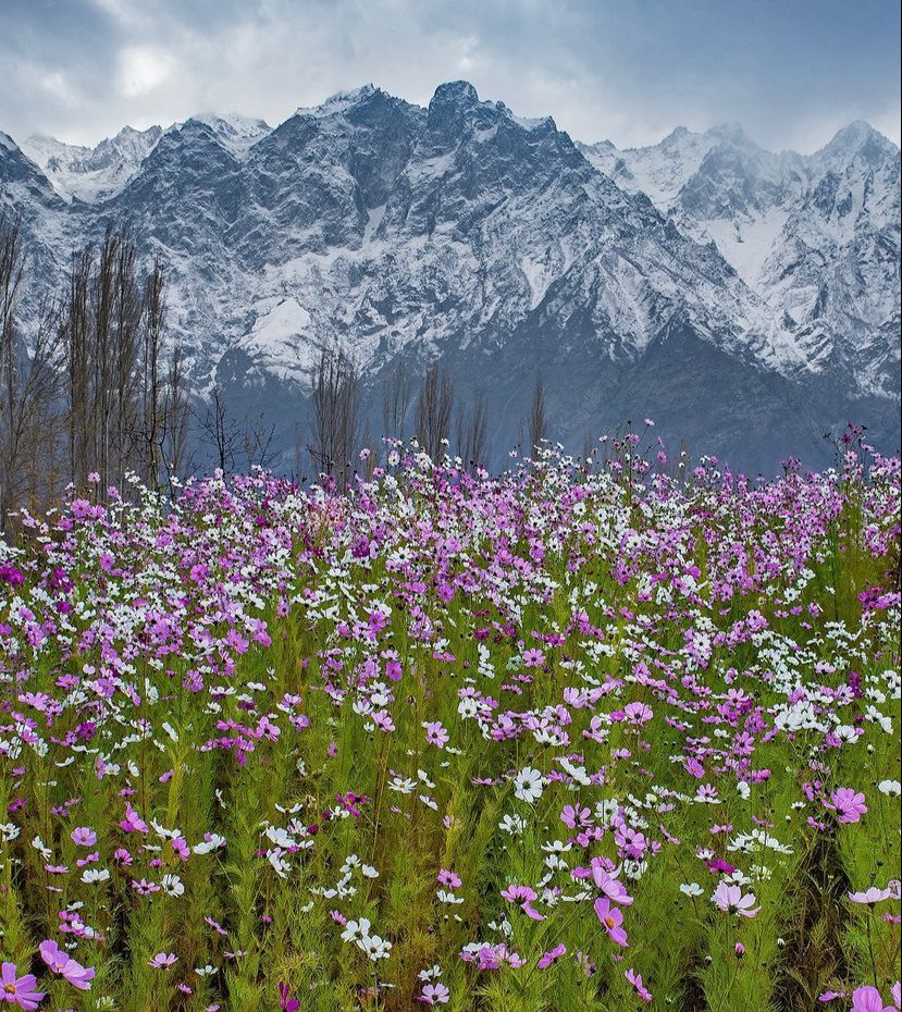 Skardu-Bashu Valley
