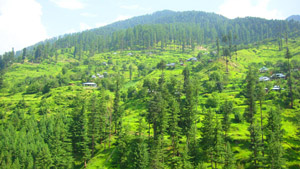 Balakot